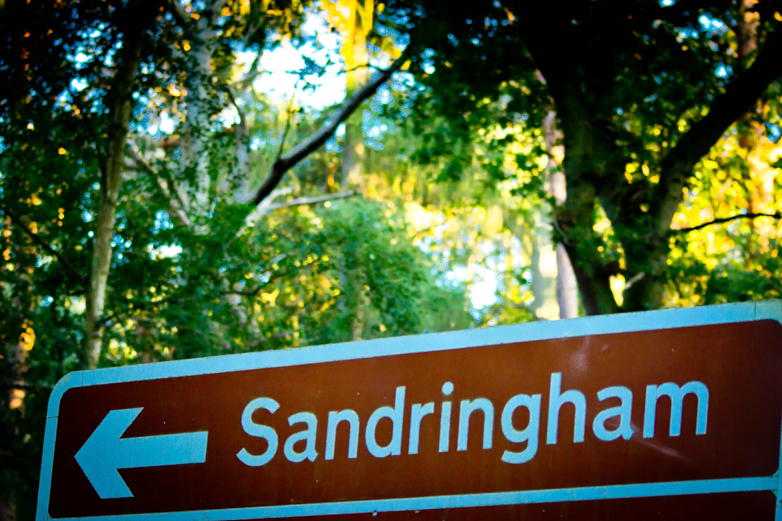 A New Rotary Chapter in Sandringham